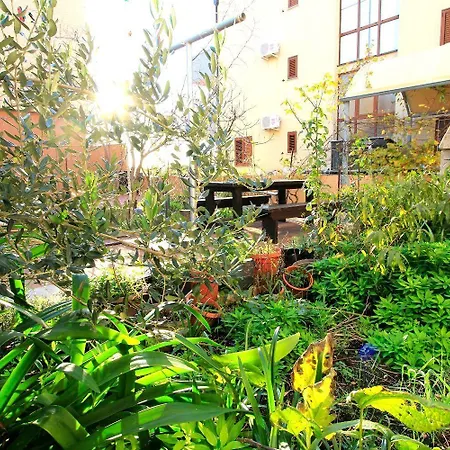 Oasis