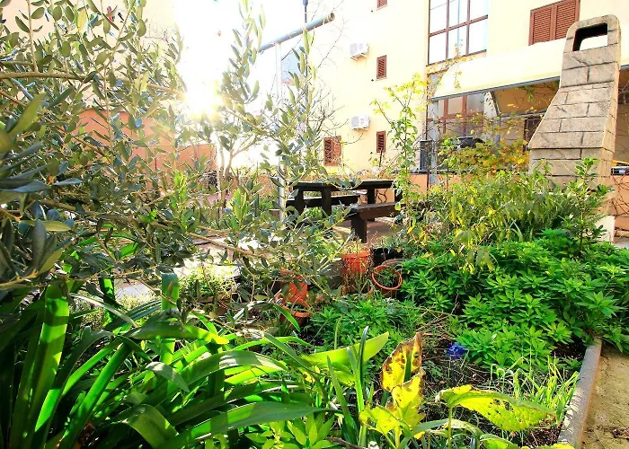 Oasis