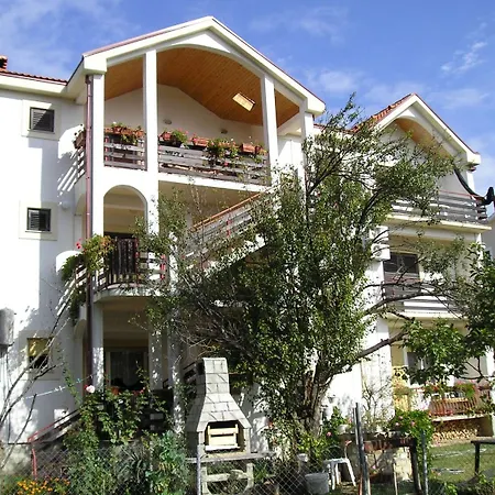 Oasis *